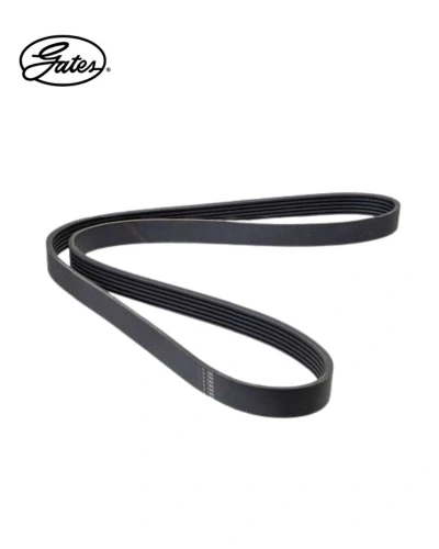 سير تكيف- Gates- new accent