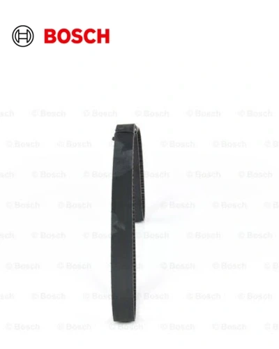 سير كاتينه 124 عقله - بوش