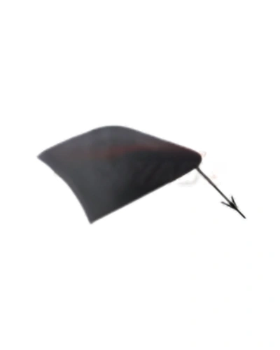 طبه هوك امامي - انسيجنيا B